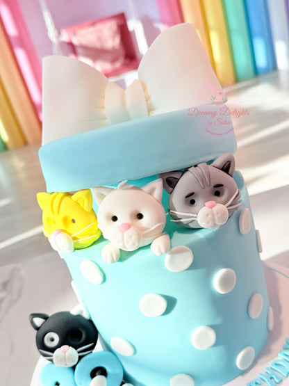 Cat Gift Box Cake