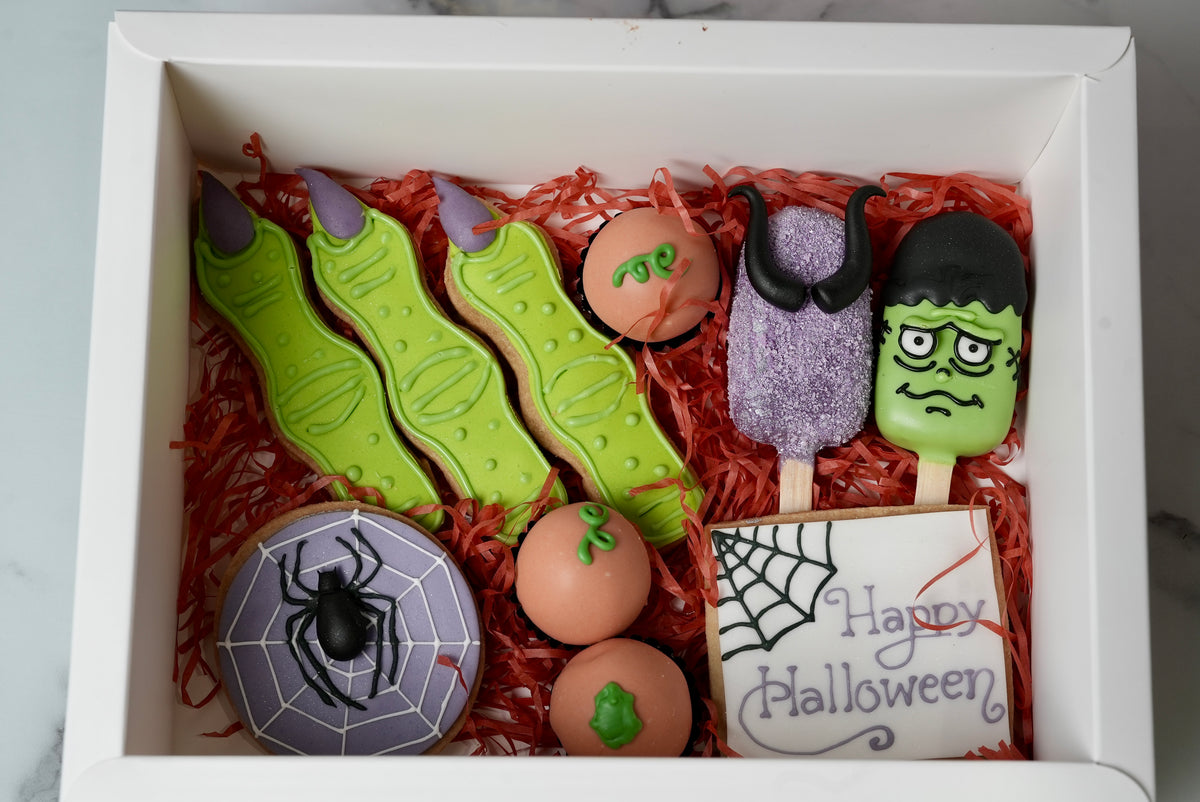 Halloween Witch Spider Bundle